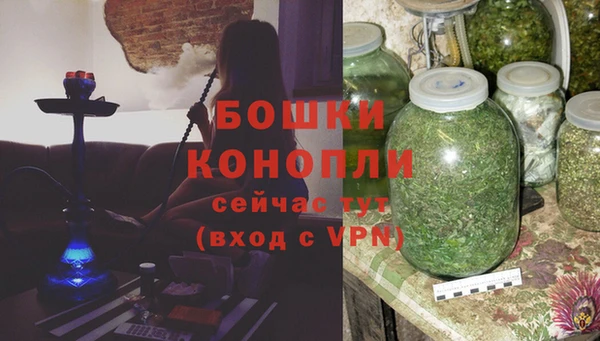 ECSTASY Богородск