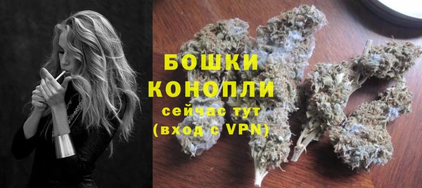 ECSTASY Богородск