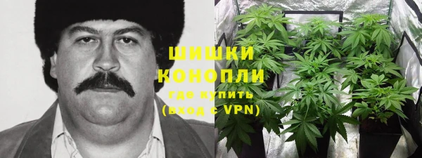 мдпв Бронницы