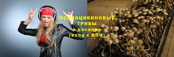 амф Богданович