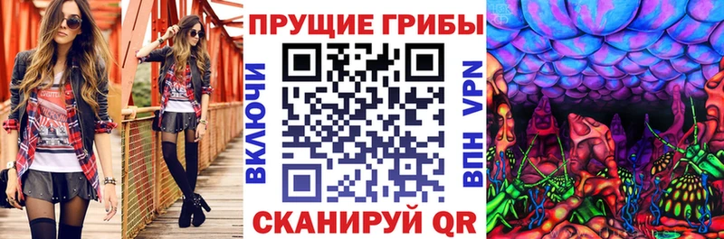 Псилоцибиновые грибы Cubensis  Луга 